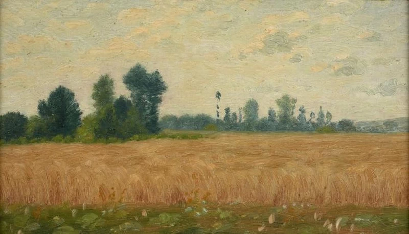 Paesaggio nel campo